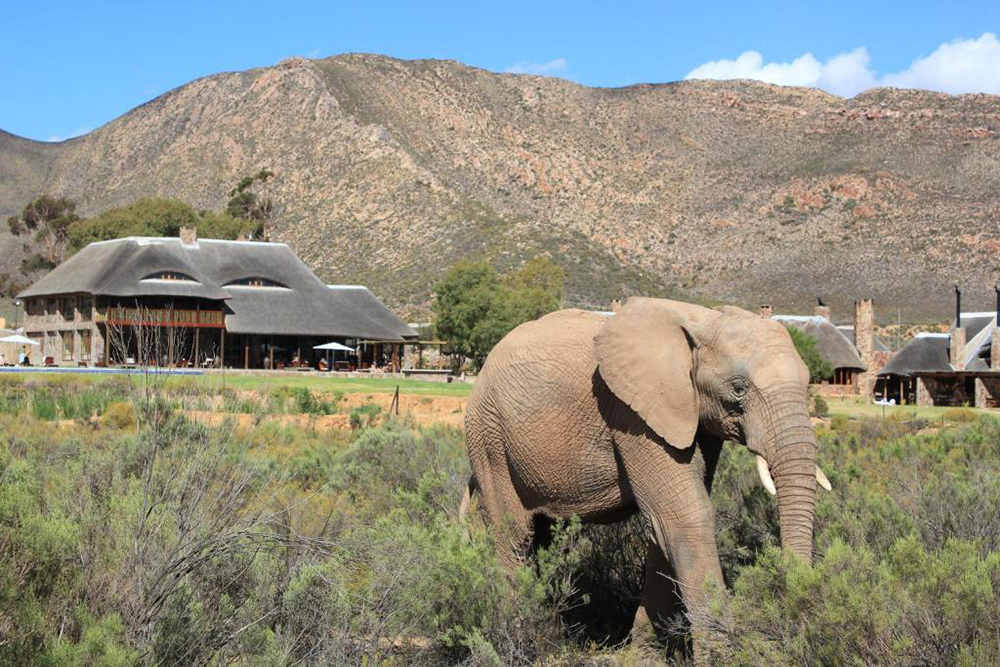 Aquila Private Game Reserve