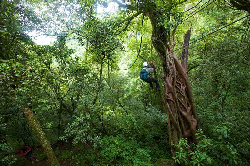 Karkloof Canopy Tour