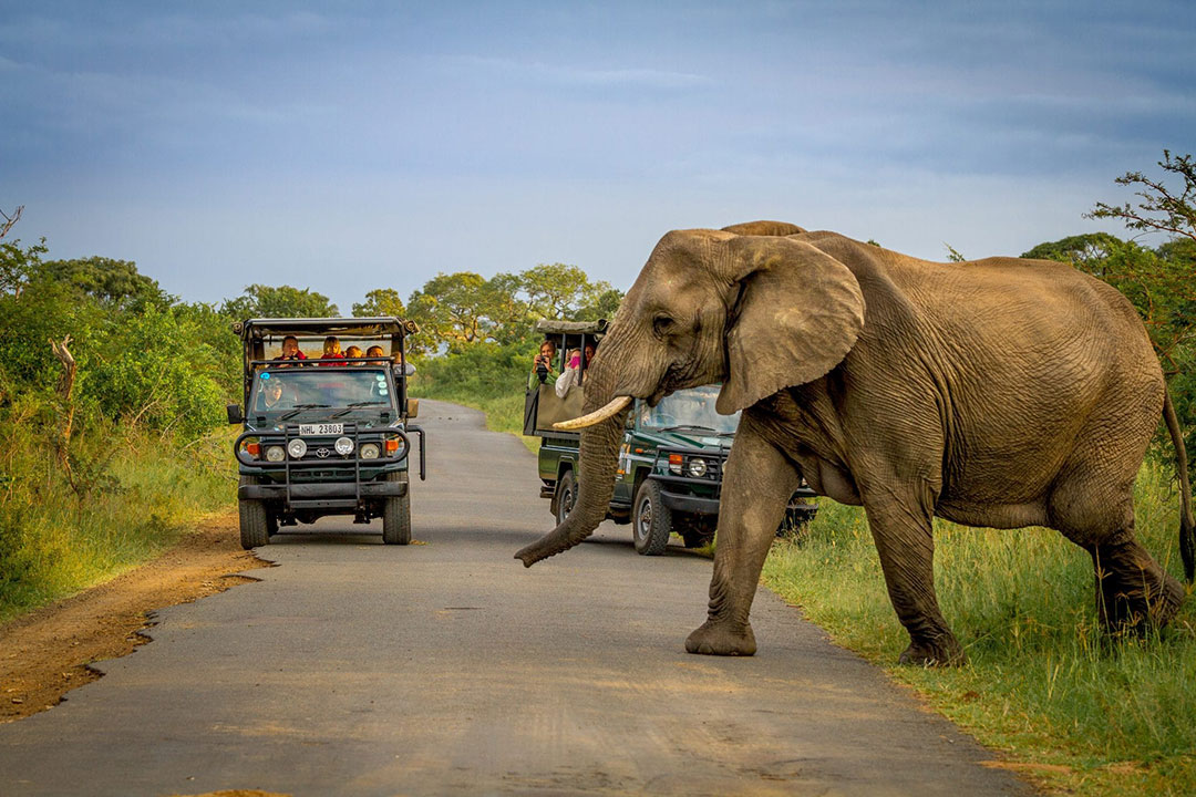 Hluhluwe Game Reserve