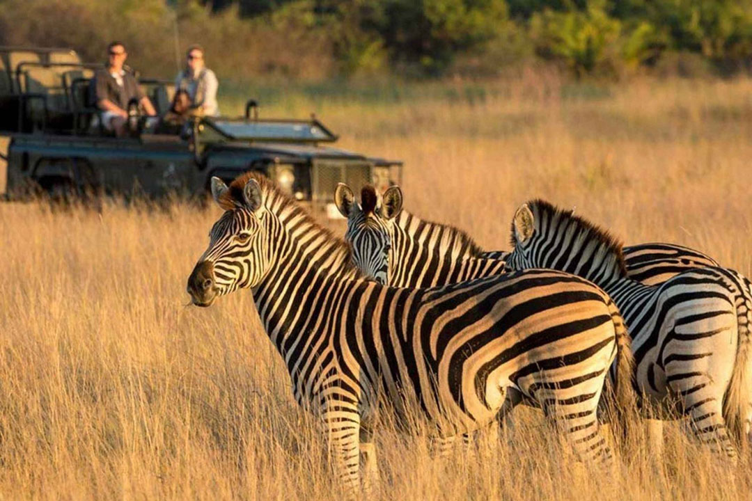 Hluhluwe Game Reserve Photo 2