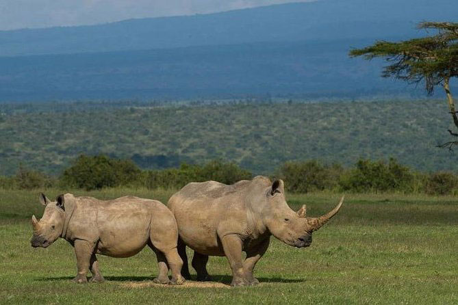 Tala Game Reserve Photo 3