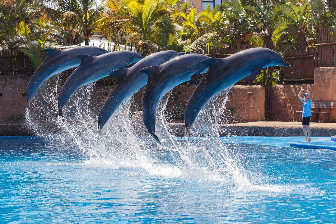 uShaka Marine World