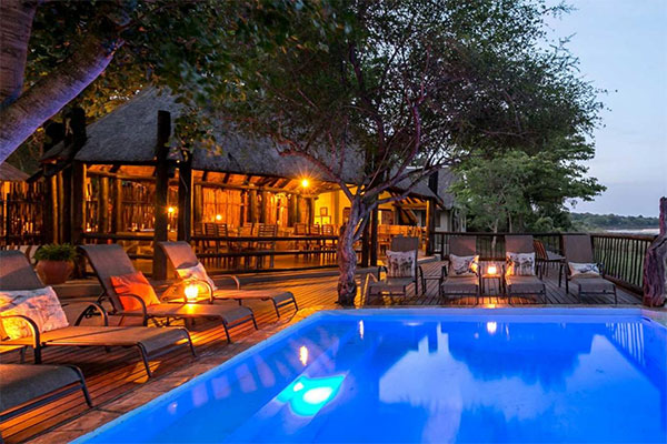 Kruger Fly in Safari